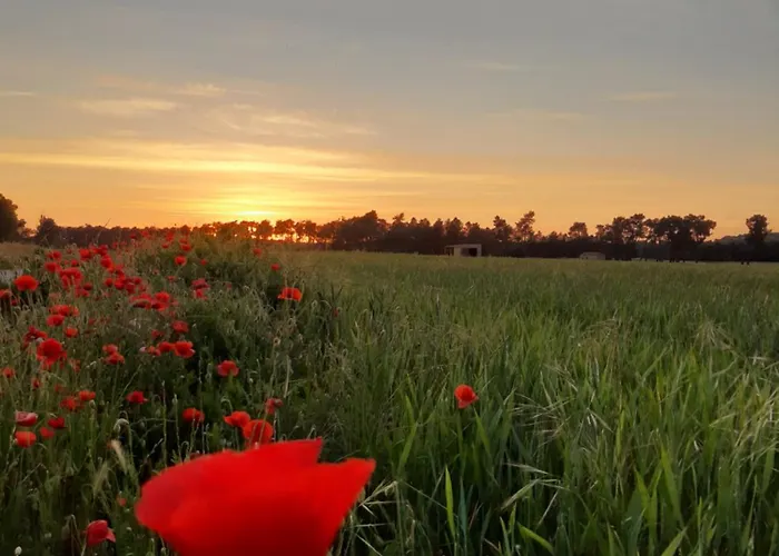Halcones * Turégano
